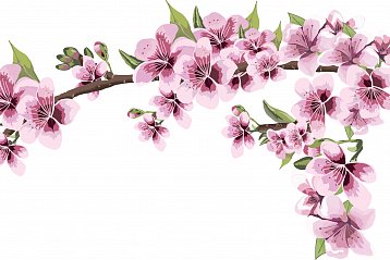 Májová Junior Show